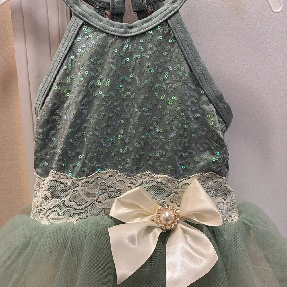 Girls Elegant Green Costume Dress